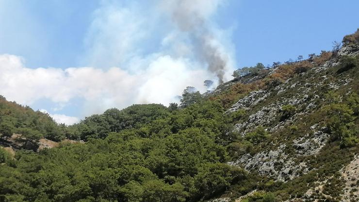 Antalya'da orman yangını