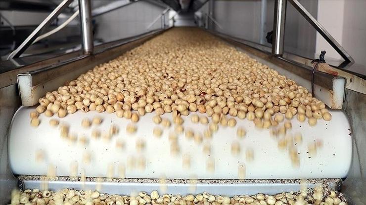 Fındık ihracatı 10 ayda 2,3 milyar dolara yaklaştı