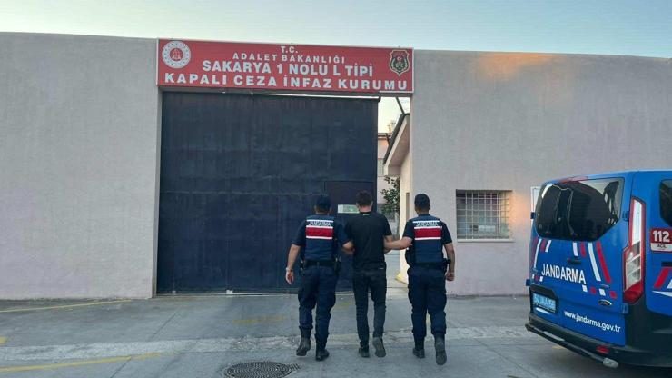 Jandarmadan kenevir operasyonu; 1 tutuklama Jandarmadan kenevir operasyonu; 1 tutuklama