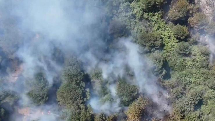 İstanbul’da Sultangazi kent ormanında yangın: Çok sayıda ekip bölgede