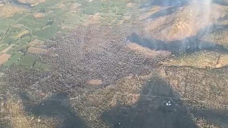 Milastaki yangın 12 saatte kontrol altına alındı