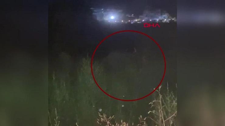 Manavgatta firari aslan dehşeti