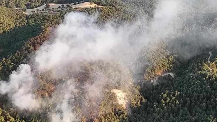 Bolu'da orman yangını: Ekipler müdahale ediyor Bolu'da orman yangını: Ekipler müdahale ediyor