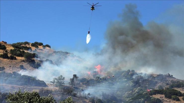Aydın yangınına ilişkin baba-oğul gözaltına alındı