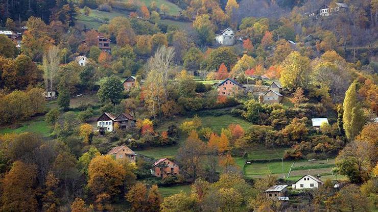 15 Temmuz -1 Ekim arasında ormanlara girişler yasaklandı