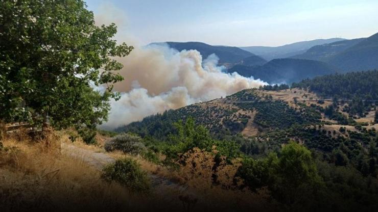 Ciğerlerimiz yanıyor! Bursa-Balıkesir sınırı ve Tekirdağ'da orman yangını