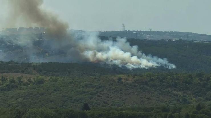 Sultangazi Kent Ormanında yangın: Çok sayıda itfaiye ekibi bölgeye sevk edildi