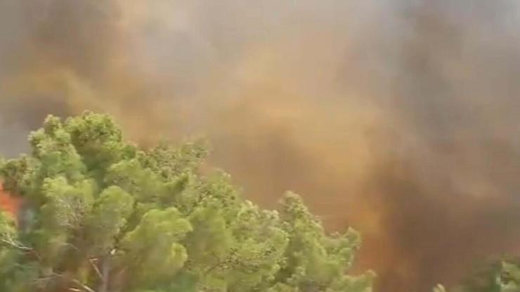 Çanakkale'de orman yangını