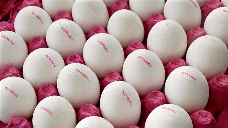 Yumurtada yeni dönem: Son Tüketim Tarihi yerine Tavsiye Edilen Tüketim Tarihi