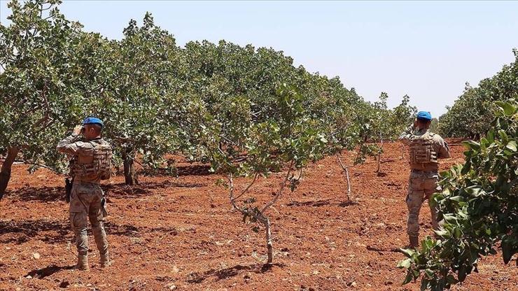 Gaziantepte jandarma Antep fıstığı nöbetinde