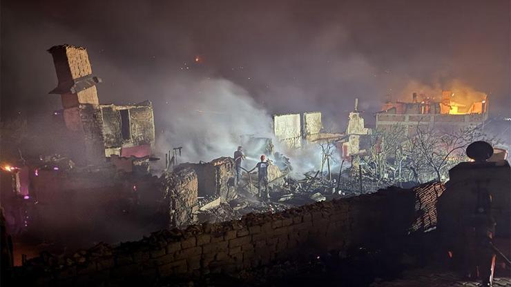 Sakaryada orman yangınında 3 ev kül oldu