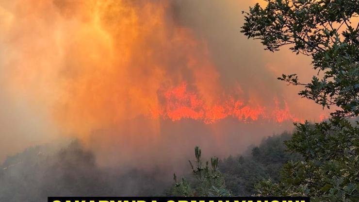 SAKARYA GEYVE ORMAN YANGINI SON DAKİKA: Sakarya orman yangını söndürüldü mü, kontrol altına alındı mı
