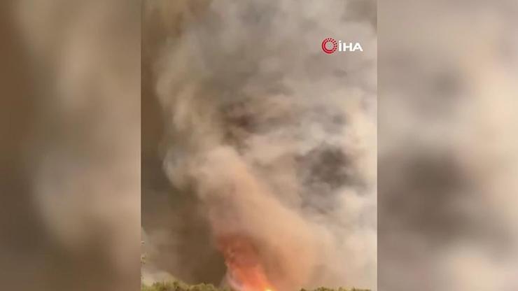Sakaryada kıyamet gibi görüntüler: Alevler hortuma dönüştü