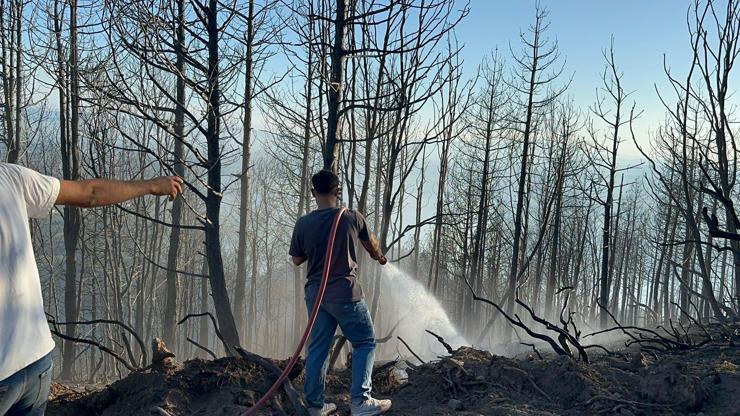 Sakarya Hendek'teki yangın kontrol altında