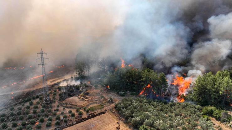 SON DAKİKA... İzmir, Antalya ve Muğlada yangın İşte son durum...