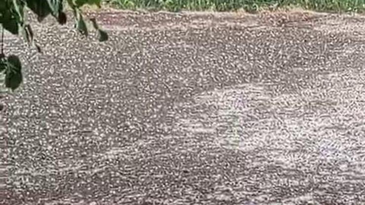 Elazığ Karakoçan’da dolu yağışı