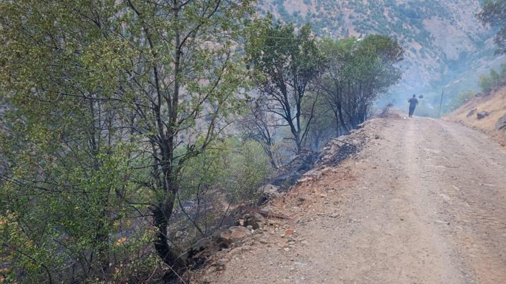 Elazığ'daki örtü yangını kontrol altına alındı Elazığ'daki örtü yangını kontrol altına alındı