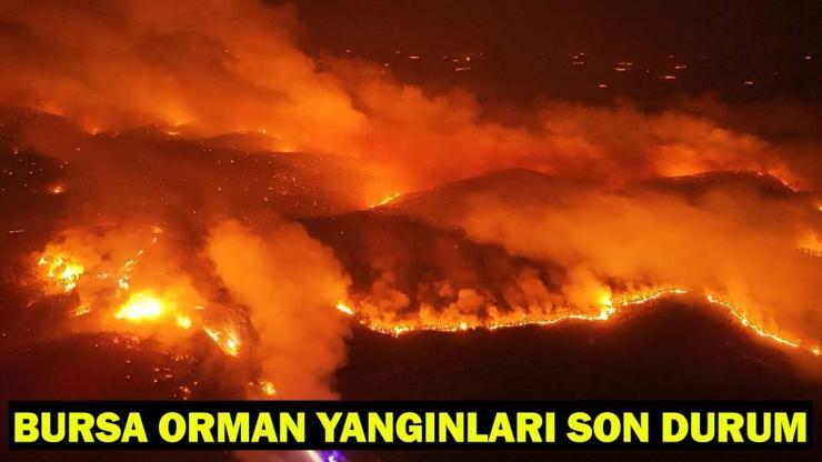 Bursa Gürsu, Kestel, Orhaneli, Harmancık yangınları söndürüldü mü? Bursa Gürsu, Kestel, Orhaneli, Harmancık yangınları söndürüldü mü?