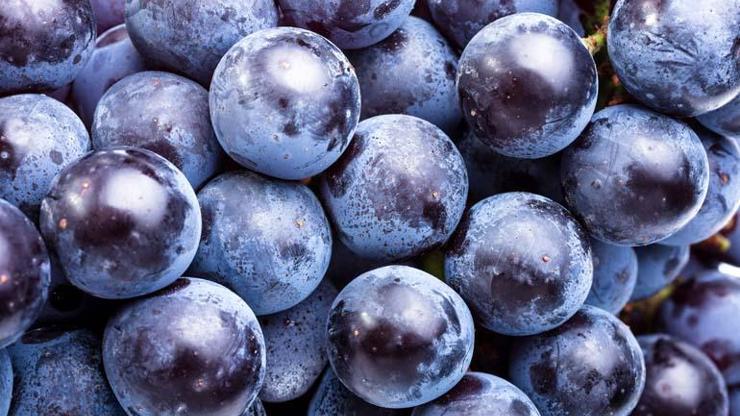 Kalp ve Bağışıklık Sistemi İçin Mucizevi Meyve