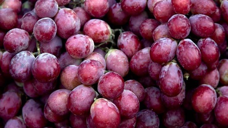 GENÇLEŞTİREN MEYVE C, K, B6 Vitamini, Mineral, Antioksidan Ne Ararsanız Var Kalp, Kilo, Kemik, Cilt... Faydası Say Say Bitmiyor Ancak Tüketirken DİKKAT