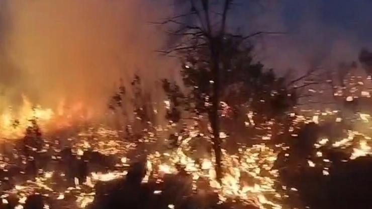 Diyarbakır'da örtü yangınları söndürüldü Diyarbakır'da örtü yangınları söndürüldü