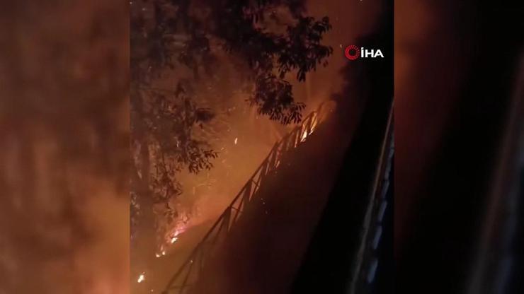 Bursa Başsavcılığı duyurdu: Havai fişek atarak yangına neden olan 4 kişi gözaltına alındı