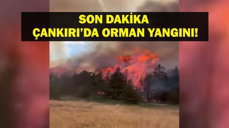 ÇANKIRI ORMAN YANGINI SON DAKİKA: Çankırı Orman Yangını Son Durum Ne, Kontrol Altına Alındı Mı? Kastamonu'dan da Görüldü!