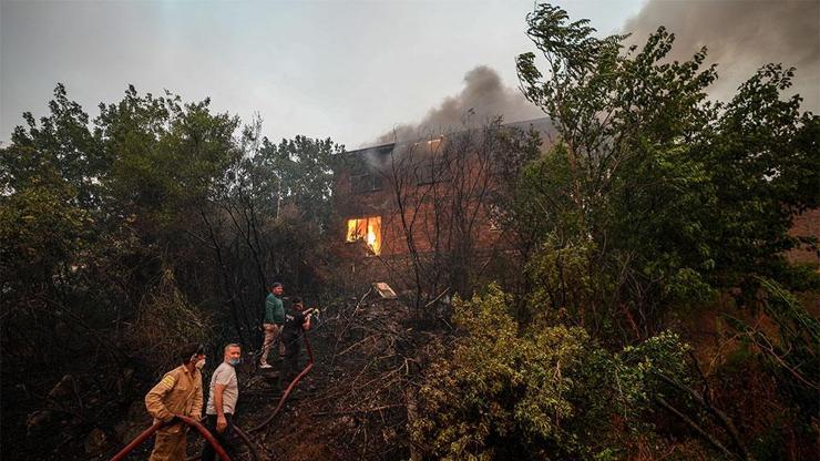 SON DAKİKA... Orman yangınlarının bilançosuna ilişkin açıklamalar