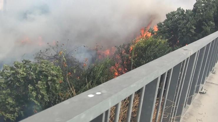 Silivride ağaçlık alan alev alev yandı