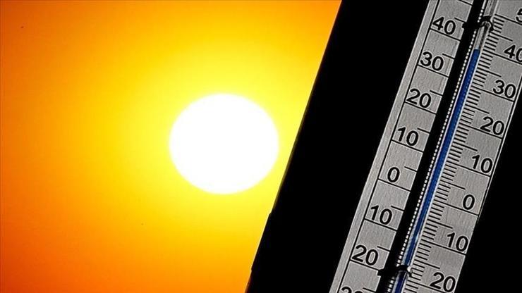 Portekiz'de sıcak hava dalgası 264 can aldı Portekiz'de sıcak hava dalgası 264 can aldı