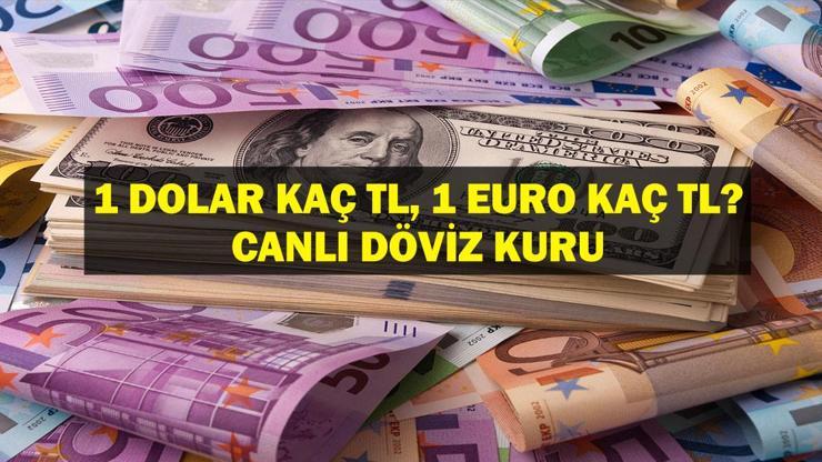 DOLAR KAÇ TL EURO KAÇ TL Temmuz Ayı Enflasyon Oranı Sonrası Dolar Euro Kaç TL Canlı Döviz Kuru ile 5 Ağustos 1 Dolar 1 Euro Fiyatı...