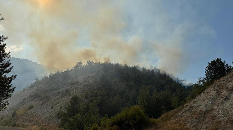 SON DAKİKA | Karabükte orman yangını: 2 saatte kontrol altına alındı