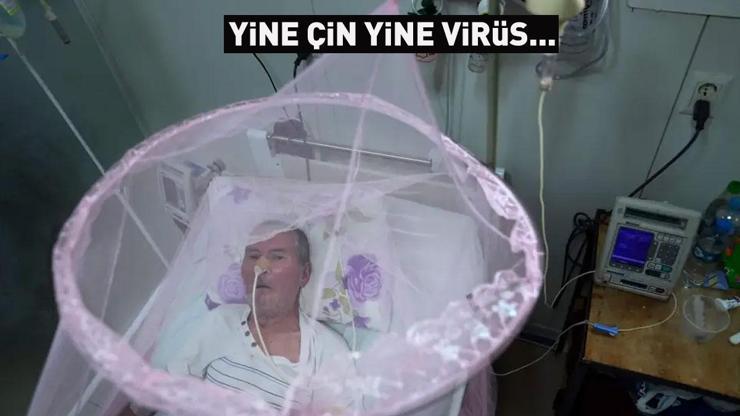 Yine Çin yine virüs... 7 binden fazla vaka tespit edildi Tehlikenin adı: Chikungunya