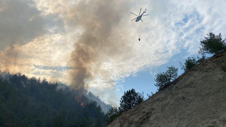 Karabük’te orman yangını