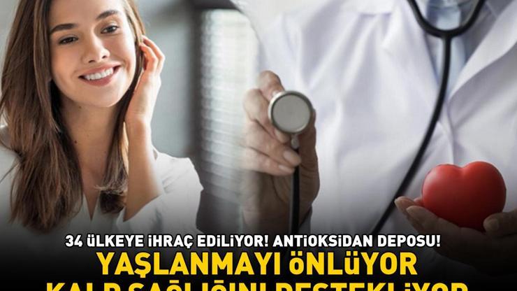 34 ülkeye ihraç ediliyor Antioksidan deposu Beta-karoten, E vitamini ve polifenoller ile yaşlanmayı önlüyor, kalp sağlığını destekliyor