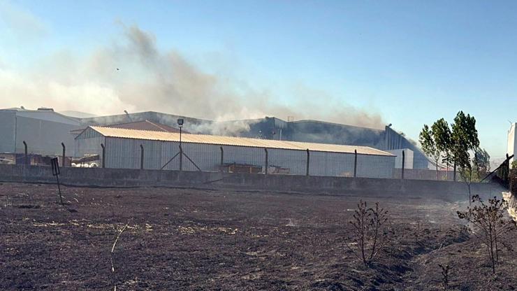 Tekirdağda fabrika yangını: Müdahale sürüyor