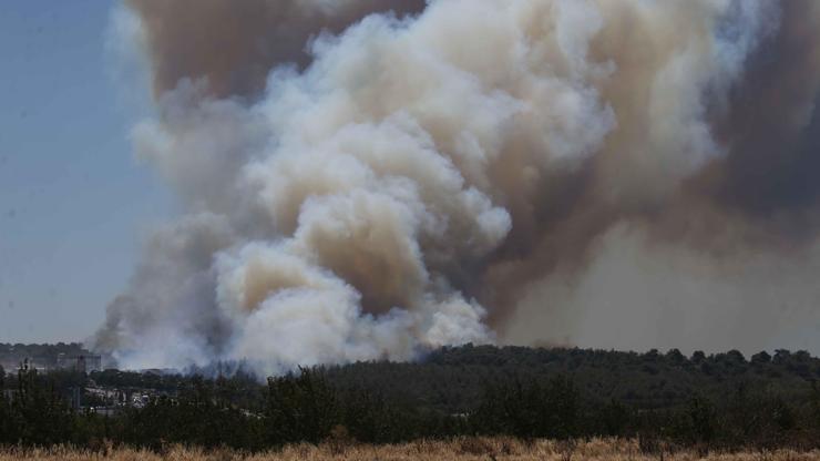 SON DAKİKA... Çanakkale'de orman yangını! Vali vatandaşları uyardı: Gerekmedikçe trafiğe çıkmayın... SON DAKİKA... Çanakkale'de orman yangını! Vali vatandaşları uyardı: Gerekmedikçe trafiğe çıkmayın...