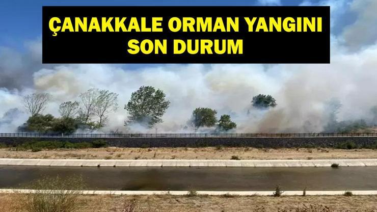 ÇANAKKALE ORMAN YANGINI SON DAKİKA: Çanakkale Orman Yangını Kontrol Altına Alındı Mı, Söndürüldü Mü Son Durum Ne