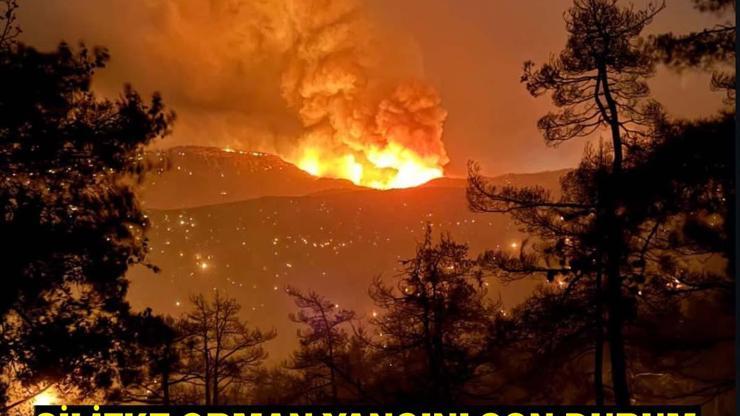 SİLİFKE ORMAN YANGINI SON DAKİKA Mersin Silifke orman yangını söndürüldü mü, kontrol altına alındı mı