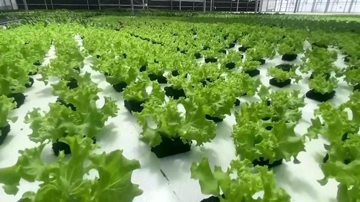 Bakan Yumaklı duyurdu… Batman’a dev tarım tesisi geliyor