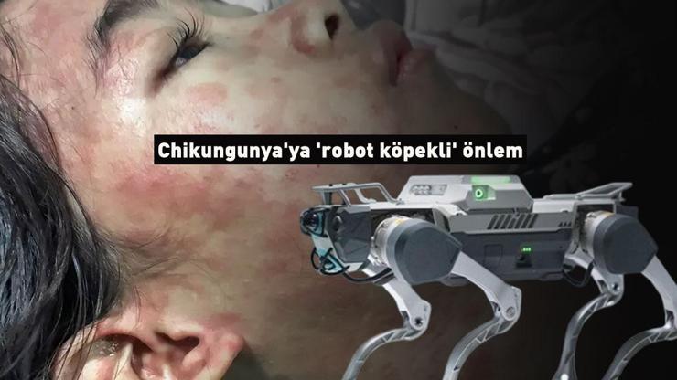 240 binden fazla vaka, 90 can kaybı var Chikungunyaya robot köpekli önlem