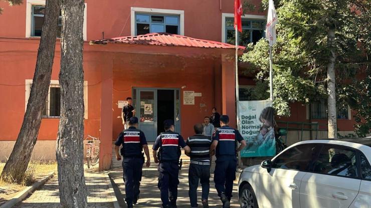 Arıları sakinleştirmek isterken 80 hektar ormanı yaktı
