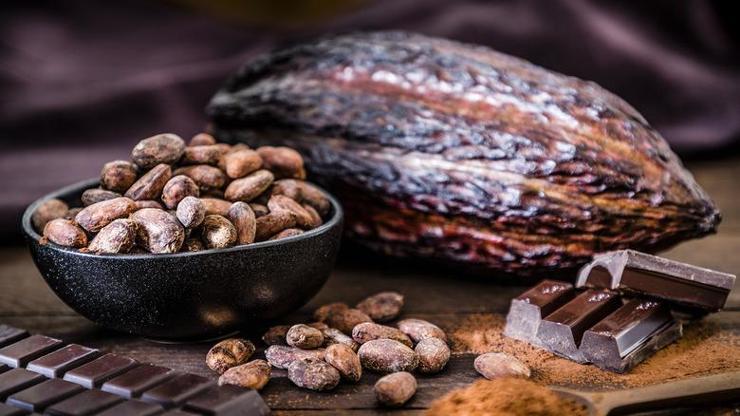 Bilim İnsanları Açıkladı: İşte Mükemmel Çikolatanın Formülü... Tat ve Aromayı Doğrudan Etkiliyor