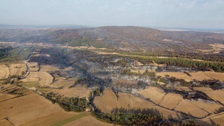 Gelibolu’daki orman yangınının yarattığı tahribat havadan görüntülendi