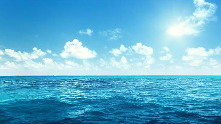 Havuz ve Deniz Keyfini Sağlıklı Tutmanın Yolları: Mikroplardan Korunma Önerileri