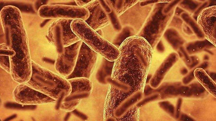 Genetik kodu virüsler tarafından okunamıyor: Bilim insanları bugüne kadarki en sentetik canlıyı oluşturdu!