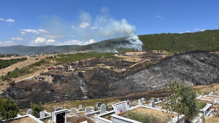 Kocaeli'de ot yangını Kocaeli'de ot yangını