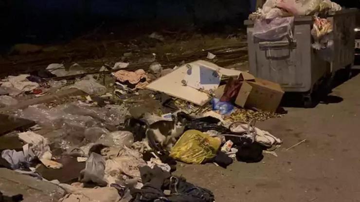 Kartal'da işçiler 'eksik ödeme yapıldığı' gerekçesiyle çöpleri toplamadı Kartal'da işçiler 'eksik ödeme yapıldığı' gerekçesiyle çöpleri toplamadı