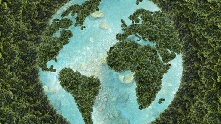 Kommensalizm Nedir, TDK Sözlük Anlamı Ne Demek Kommensalizm Örnekleri...