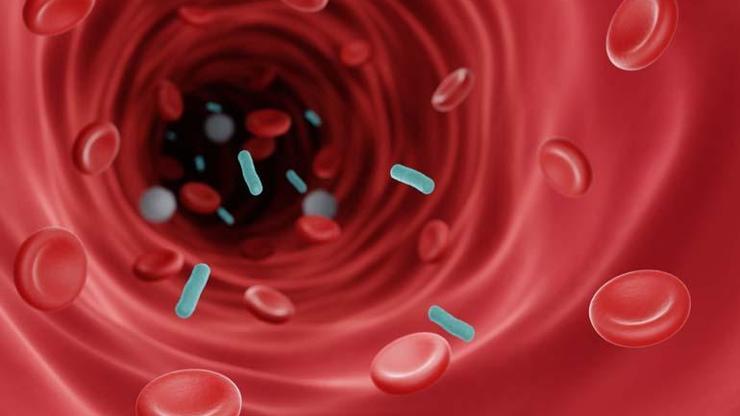 İç Organları Bitiren Hastalık Diş Fırçalarken Hatta Sakız Çiğnerken Bile Kana Karışabiliyor Kanda Enfeksiyon Nasıl Anlaşılır